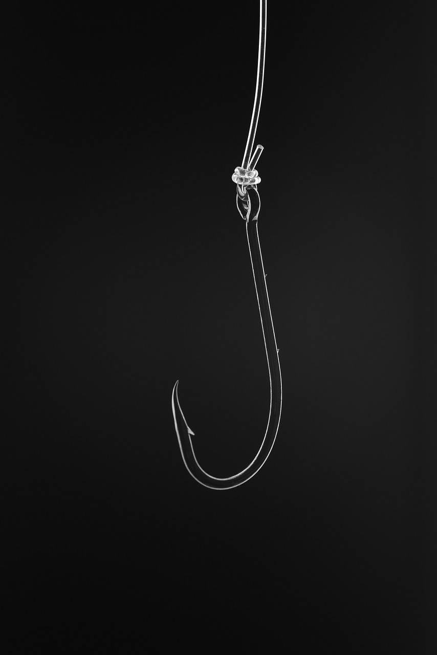 hook, fishing, fishing hook-7418284.jpg